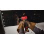 Аккумуляторная цанговая угловая шлифовальная машина Milwaukee M12 FDGA2-0