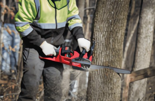 Следующий прорыв уже здесь: M18 FUEL™ Chainsaw легко справляется с твёрдыми породами древесины